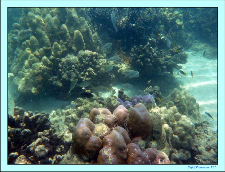 2011 - 03 - Koh Ngai 104